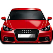 A1 