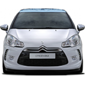 DS3